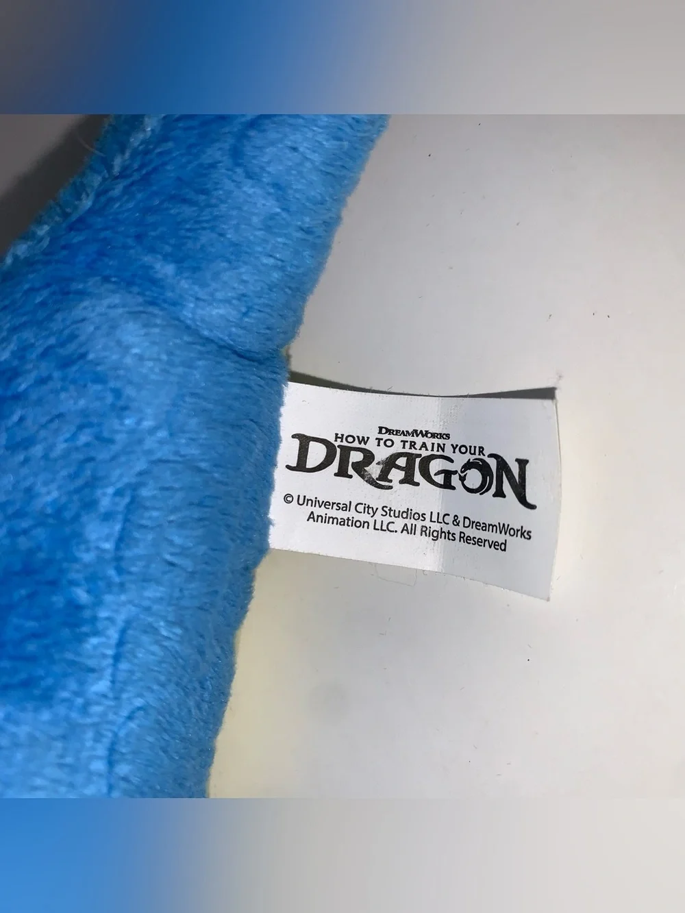 Universal Studios Dreamworks~How to Train Your Dragon